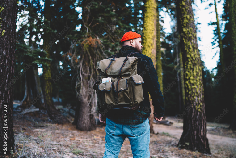 Rear view of young male traveller with touristic rucksack looking aside for search good route for getting to high mountains in National Park, man in casual wear spending time on fresh air in forest