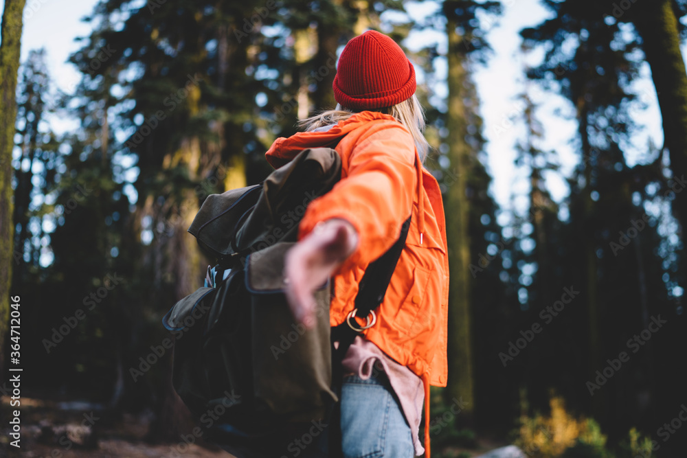 Naklejka premium Back view of female traveller with touristic backpack giving hand for leads around forest environment during trekking trip to mountains, active woman spending time in national park for recreation