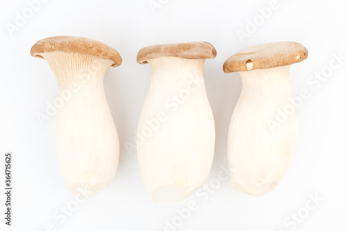King oyster mushroom on white background