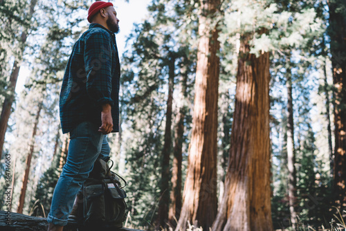Young hipster guy wanderlust standing in forest looking at trails for hiking discover wild environment, male traveler with touristic rucksack exploring Sequoia national park with giant trees