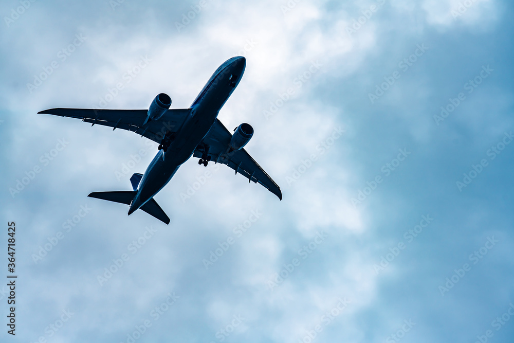 Fototapeta premium 飛行機