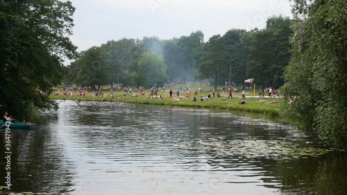 
pond in a green forest with plants