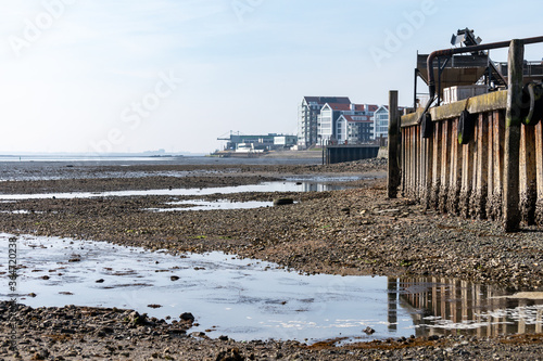 Coastline in zeeuwse village Yerseke with famous oysters wells during low tide, Zeeland, Netherlands photo