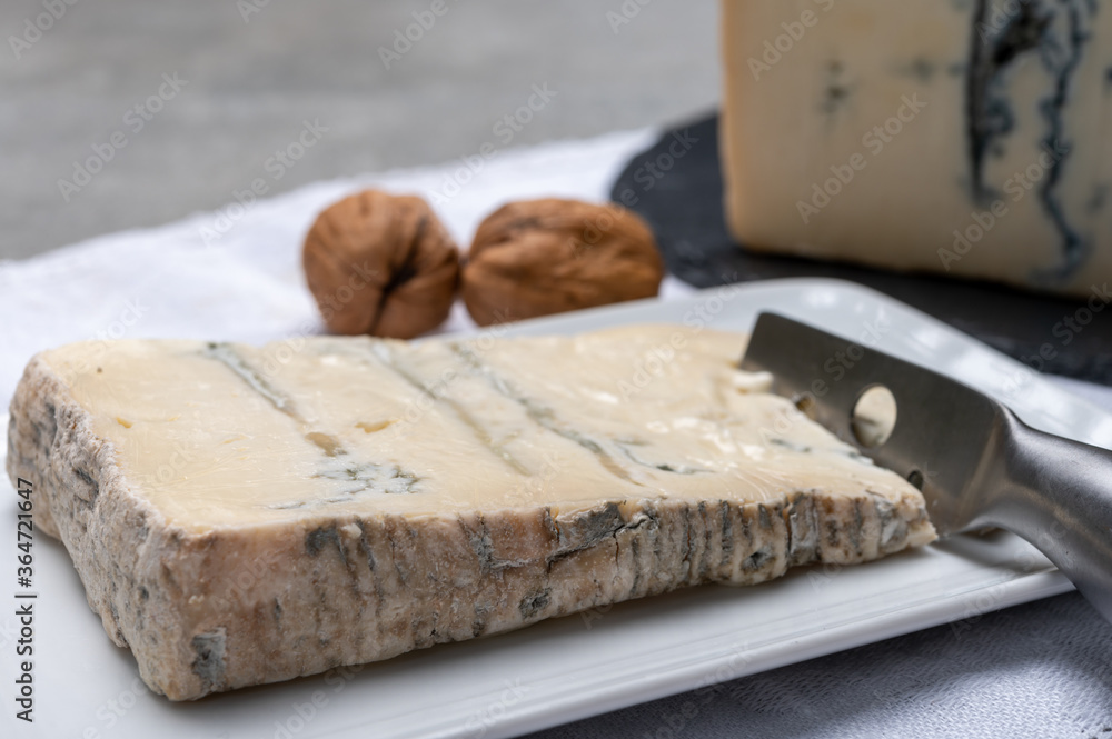 Italian food, buttery or firm blue cheese made from cow milk in Gorgonzola, Milan, Italy