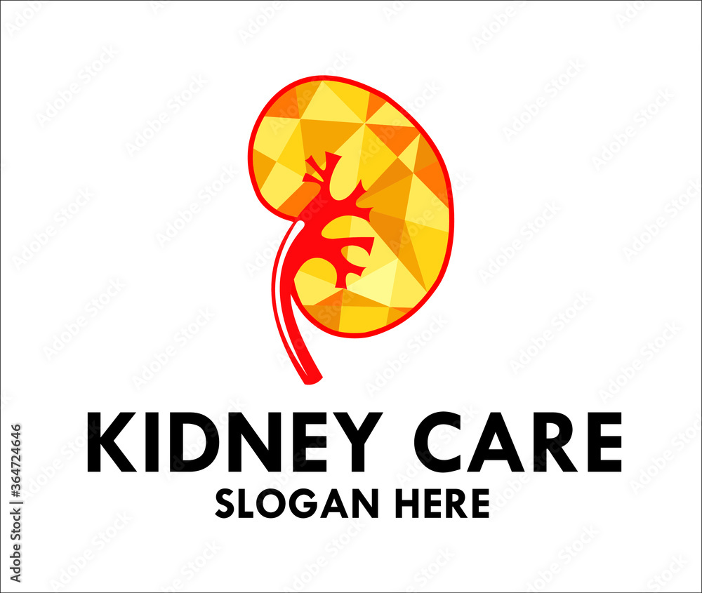  Kidney anatomy organ body ilustration design logo vector  good for care and medicine