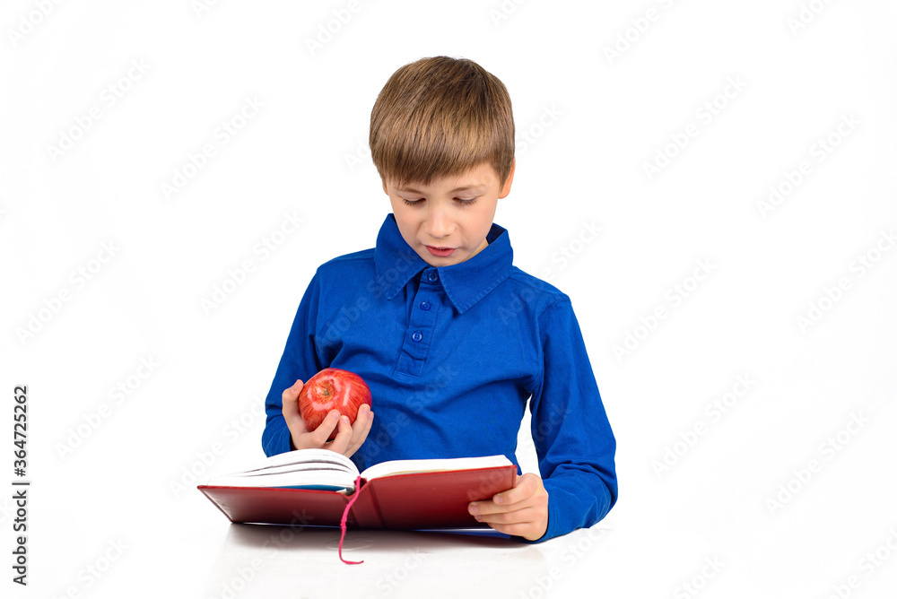 boy schoolboy in a blue t-shirt is preparing for school, reading something in a notebook, holding a red apple boy schoolboy in a blue t-shirt is preparing for school, reading something in a notebook, holding a red apple