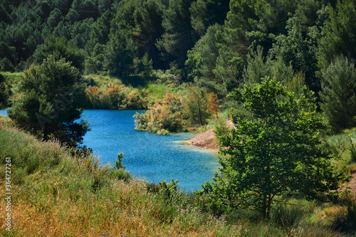 Pequeño lago rodeado por un bosque de pinos en verano