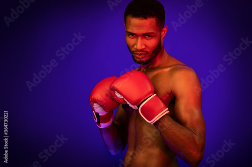 Boxer In Boxing Gloves Standing Posing On Blue Studio Background © Prostock-studio
