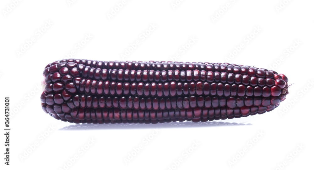 Black Corn on white background Black Corn on white background