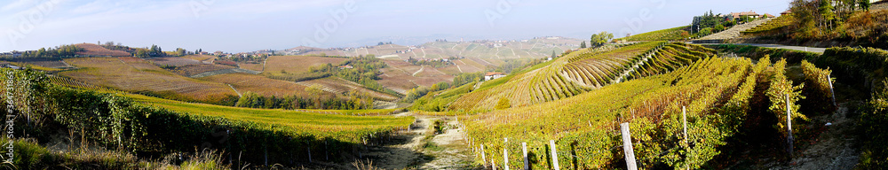 Italy, Piedmont, Alba panoramic view of the autumn landscape with its vineyards and hills
