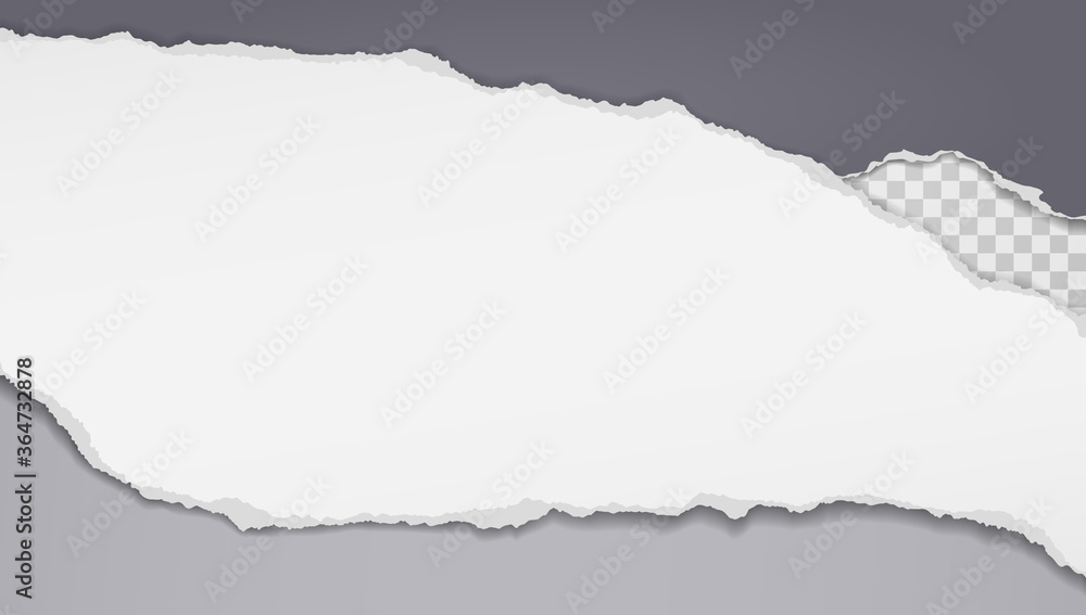 Pieces of torn and horizontal white and dark grey paper with soft shadow are on squared background for text. Vector illustration Pieces of torn and horizontal white and dark grey paper with soft shadow are on squared background for text. Vector illustration