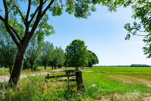 green landschap with trees, wooden, path, fence and meadow. Langerak, The Netherlands 