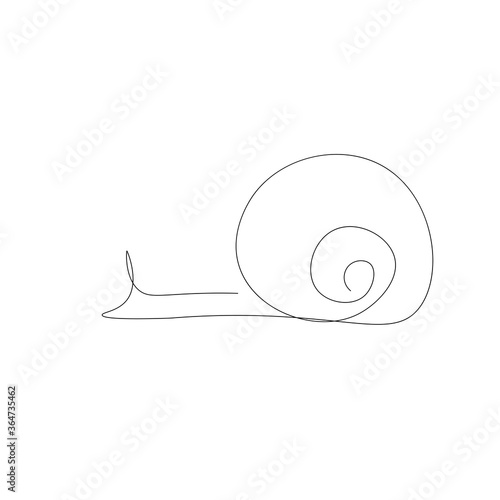 Snail animal on white background line drawing, vector illustration