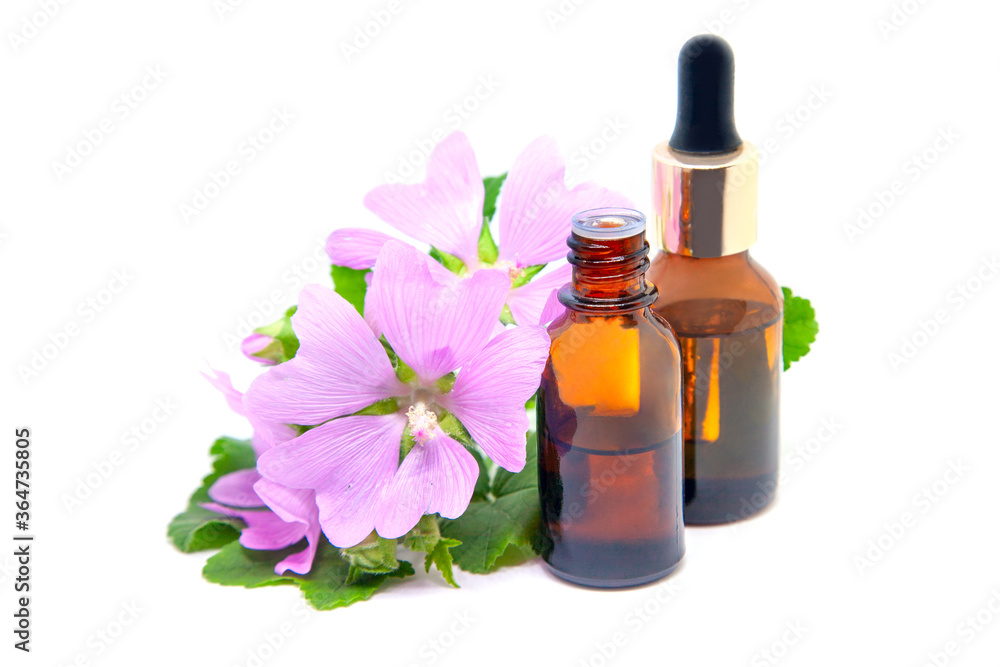 Bottles of mallow essential oil and extract with fresh blooming malva sylvestris plant Bottles of mallow essential oil and extract with fresh blooming malva sylvestris plant