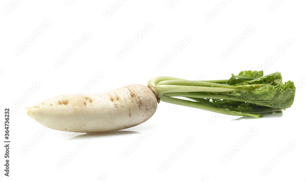 fresh white radish with slices isolated on white background fresh white radish with slices isolated on white background