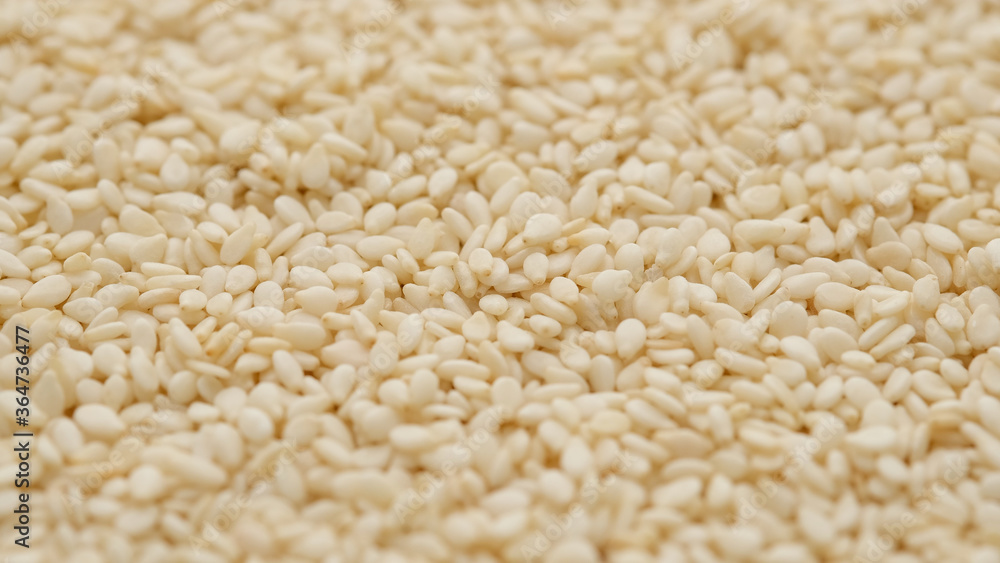 sesame seeds background top view sesame seeds background top view