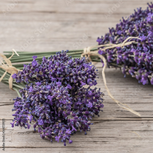 Many bouguet of violet purple lavendula lavender flowers herbs on old rustic wooden table, wood background square, close up