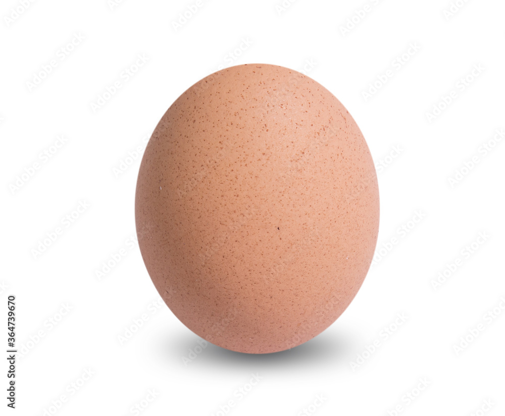 egg chicken isolated on white background egg chicken isolated on white background
