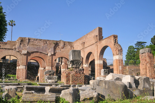                               Old ruins in good weather in Rome