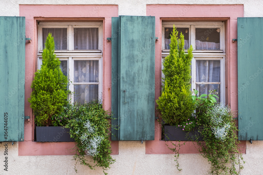 Windows of an old house decorated with plants