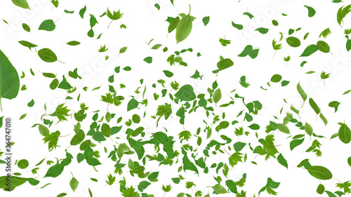 Green Flying leaves leaf 3D illustration background
