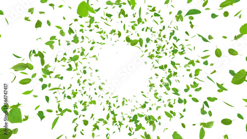 Green Flying leaves leaf 3D illustration background