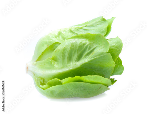 Green oak lettuce on white background