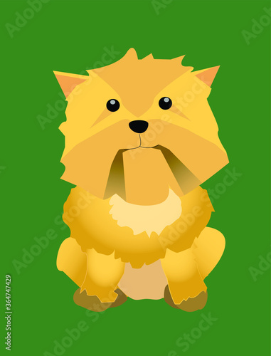 small, furry and funny dog