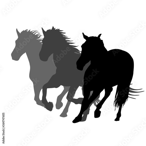 Silhouettes of three horses running