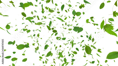 Green Flying leaves leaf 3D illustration background