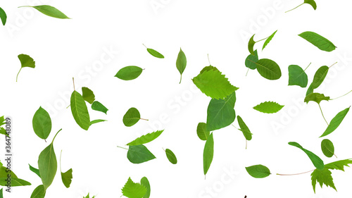 Green Flying leaves leaf 3D illustration background