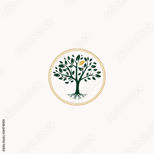 golden Tree of Life Stamp Seal Emblem Oak Banyan Maple logo design