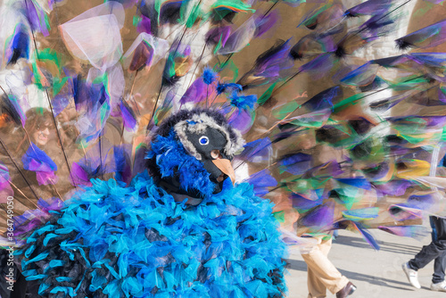Feathered Figure at Carnival in Venice
