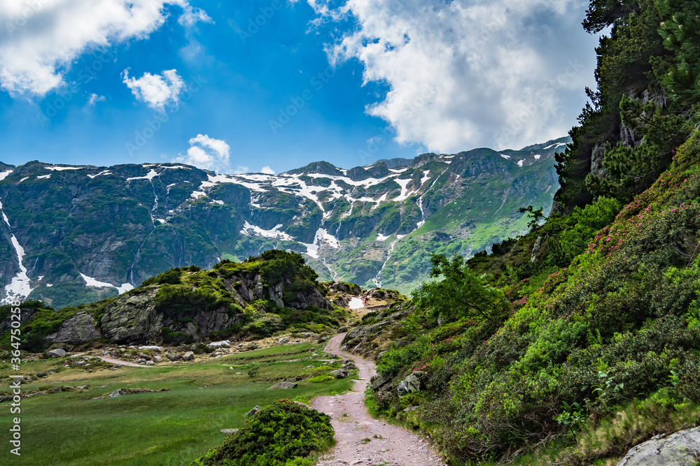 Fototapeta premium Swissalps