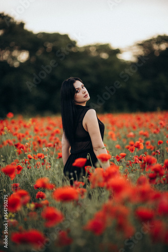 Fototapeta Naklejka Na Ścianę i Meble -  Girl with long black hair in a black dress in a poppy field