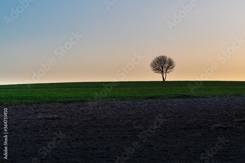 Landschaft