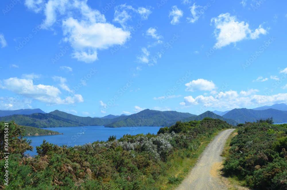A journey to Picton, New Zealand.