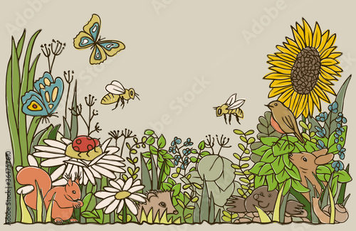 Hidden object scene of a blooming flower meadow with European animals from forest and field, like butterfly, bee, ladybird, squirrel, hedgehog, mole, deer, snail and bird. 
