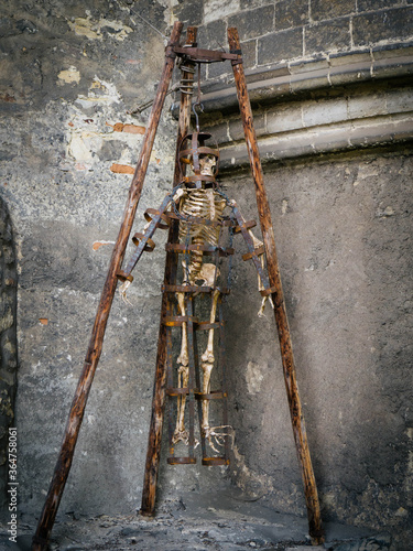 Photography old sceleton prague