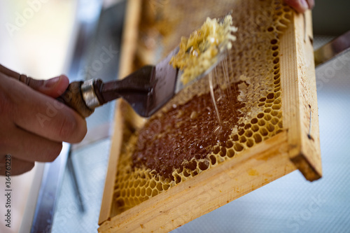 Tableau sur toile Vor dem Honig schleudern müssen die Wachs-Deckel abgehoben werden