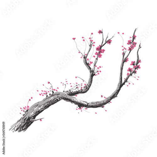 Realistic sakura blossom - Japanese cherry tree isolated on white background. Cherry Blossom. Pink sakura flowers