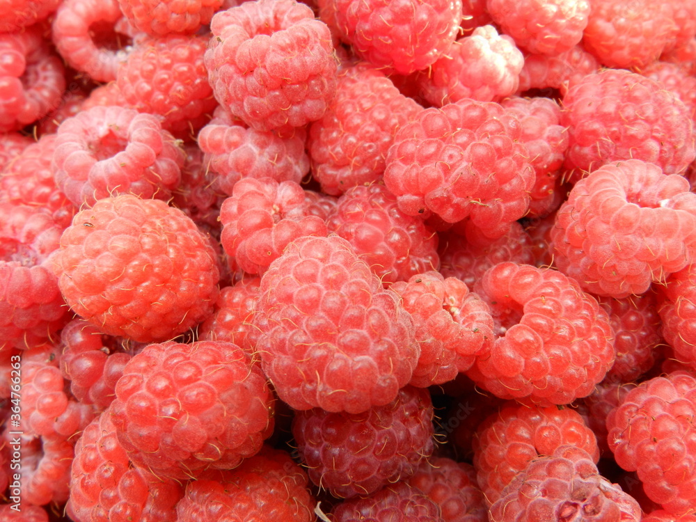 raspberry close up raspberry close up