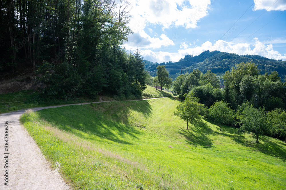 hiking trail at the edge of a town in the black forest in germany in the sun with lush green meadows