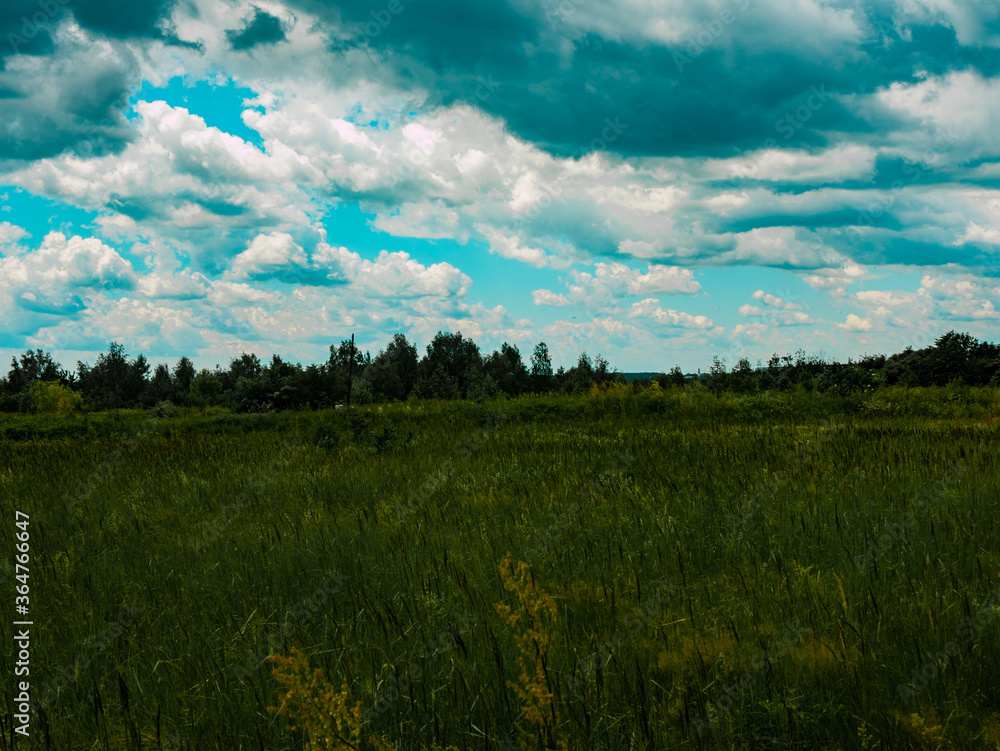 Obraz premium Landscape of the Botanical Garden in Radzionków. Free entry space.