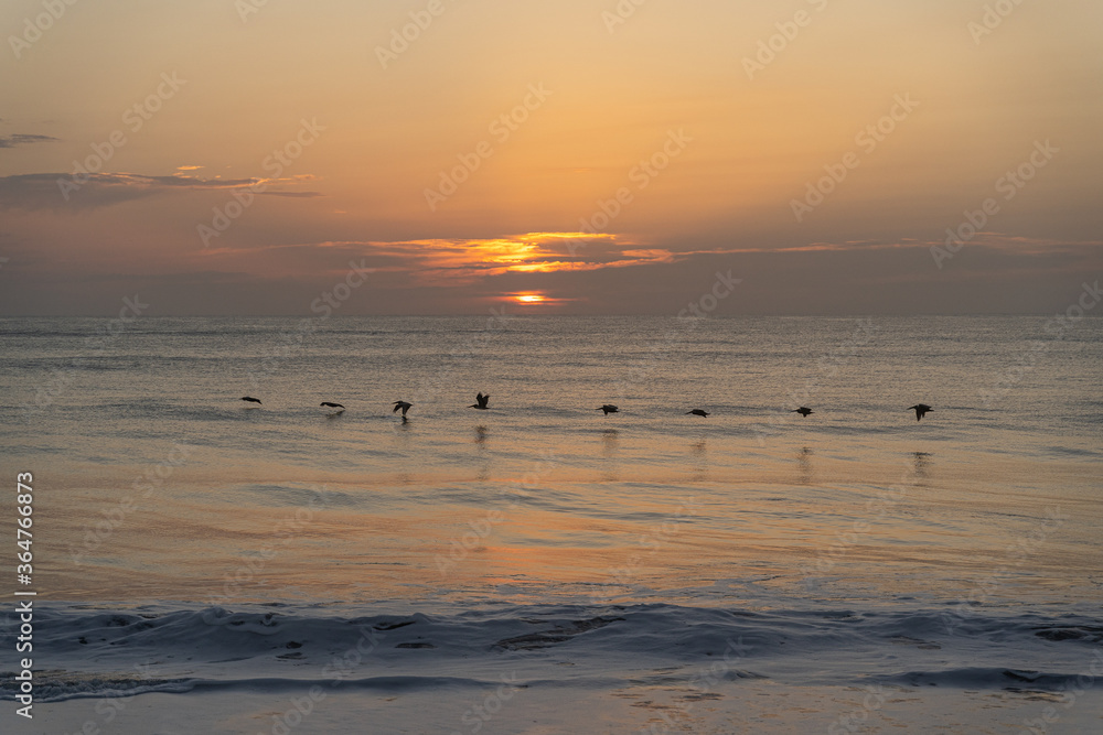 sunrise on the beach and pelicans flying sunrise on the beach and pelicans flying