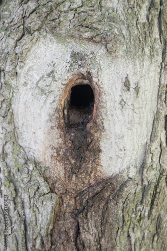 Abstraction from a tree