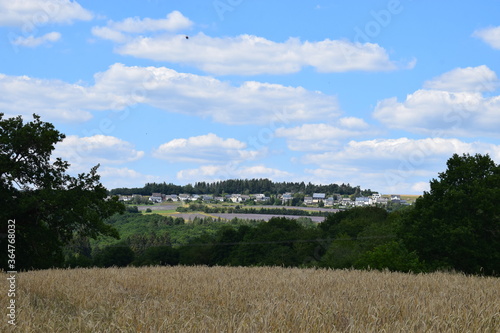 sommerliche Eifel photo