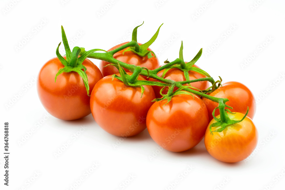 Cherry tomatoes on a branch isolated on a white background. Cherry tomatoes on a branch isolated on a white background.
