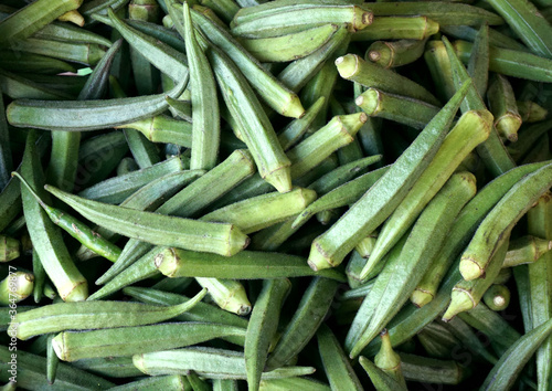 Closeup shot of bamia. Musk okra texture. Indian vegetadles backgroung. Gumbo. 