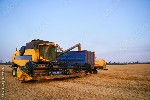 Overloading grain from the combine harvesters into a grain truck in the field. Harvester unloder pouring just harvested wheat into grain box body. Farmers at work. Agriculture harvesting season theme.